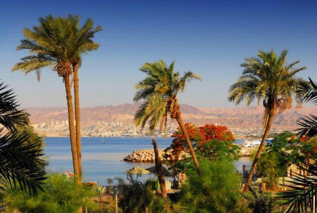 La Riva Hotel Aqaba Exterior photo